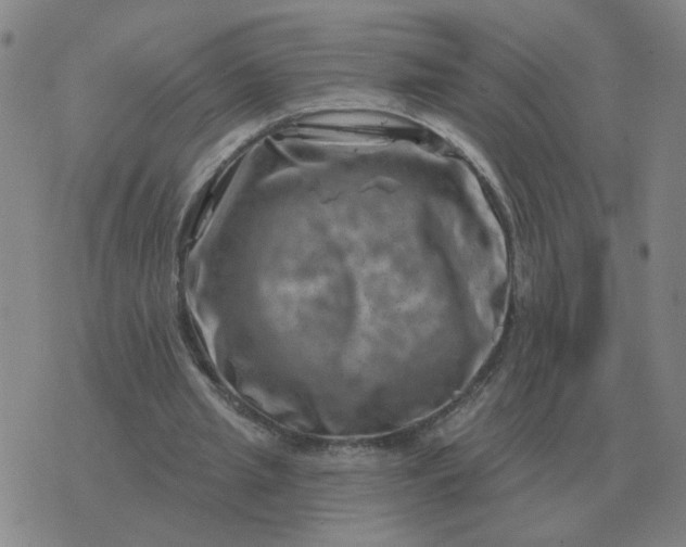 X0000074340437200609082101