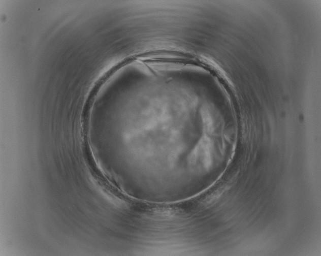 X0000074340439200609082101