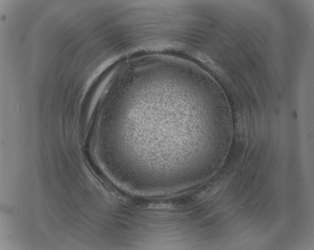 X0000074340440200609082101