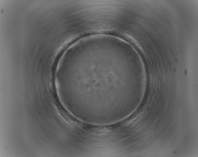 X0000074340443200609082101