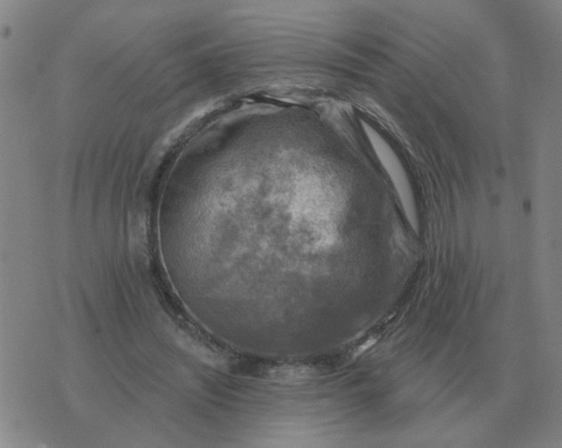 X0000074340444200609082101