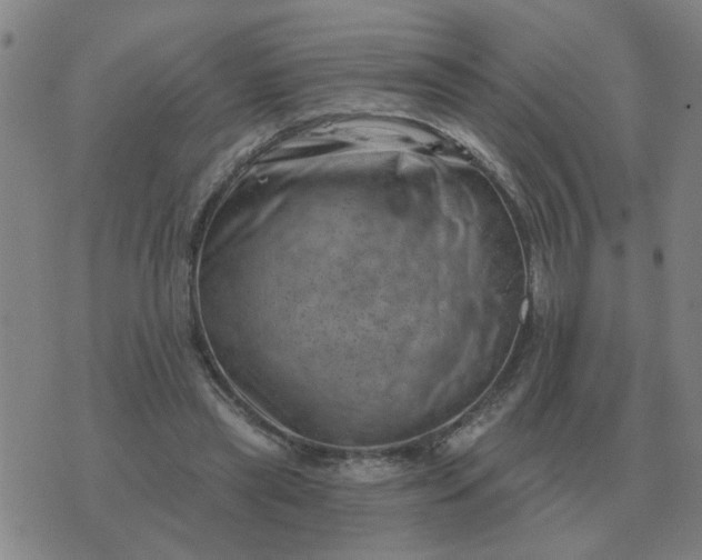 X0000074340445200609082101