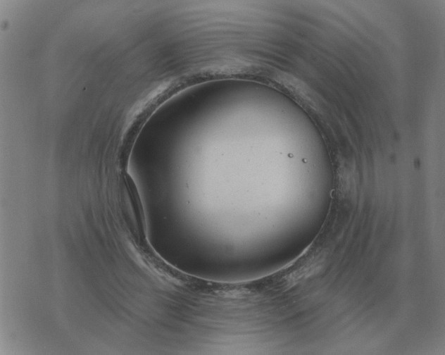 X0000074340446200609082101