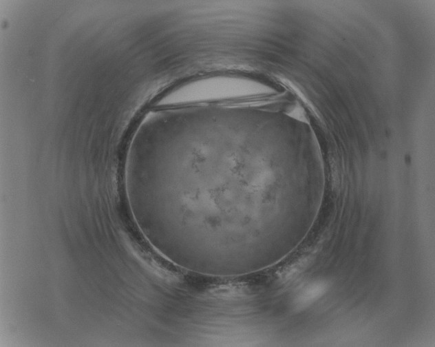 X0000074340447200609082101