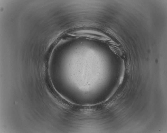 X0000074340448200609082101