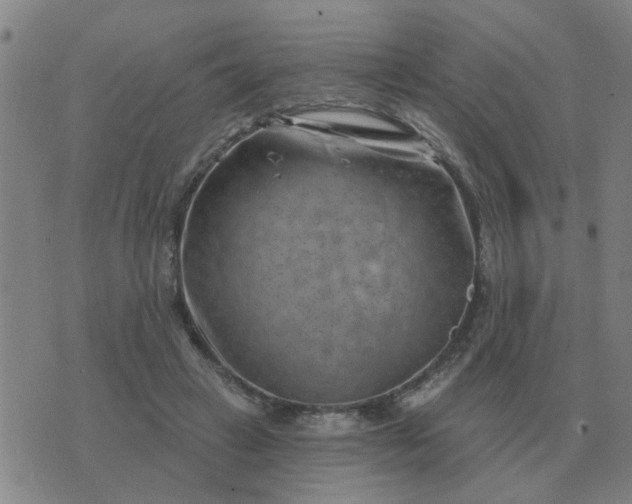 X0000074340449200609082101