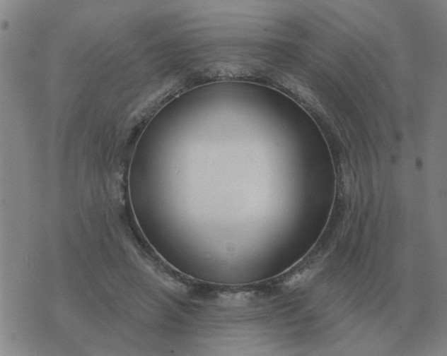 X0000074340450200609082101