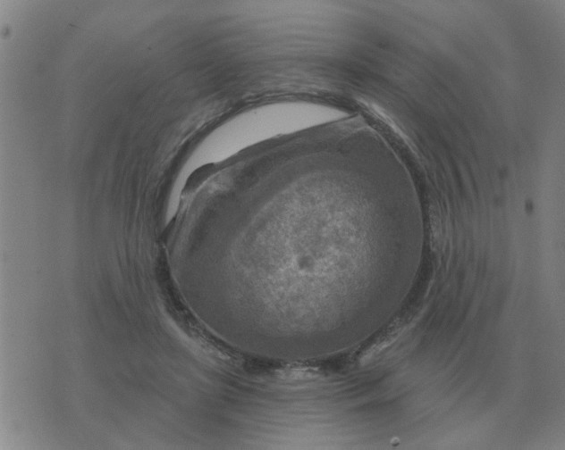 X0000074340451200609082101