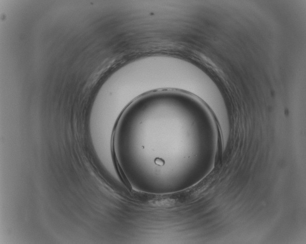 X0000074340452200609082101