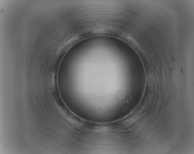 X0000074340454200609082101