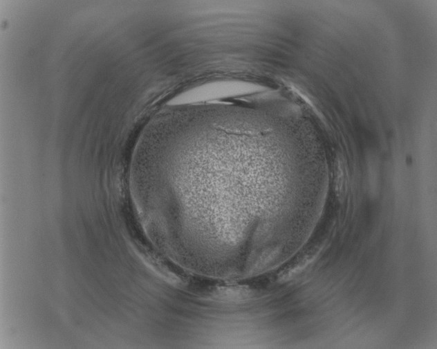 X0000074340455200609082101