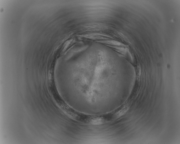 X0000074340456200609082101