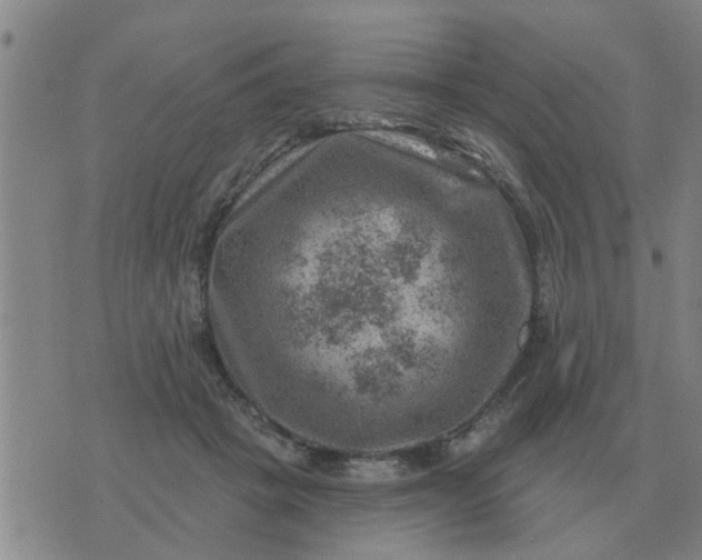 X0000074340457200609082101