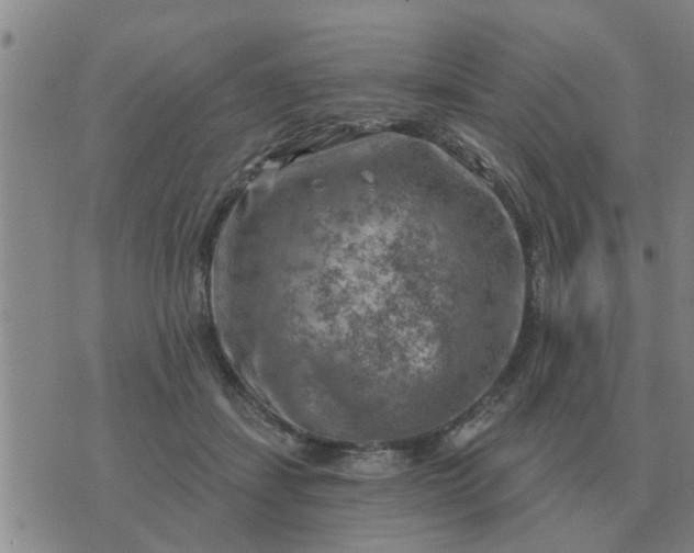 X0000074340459200609082101