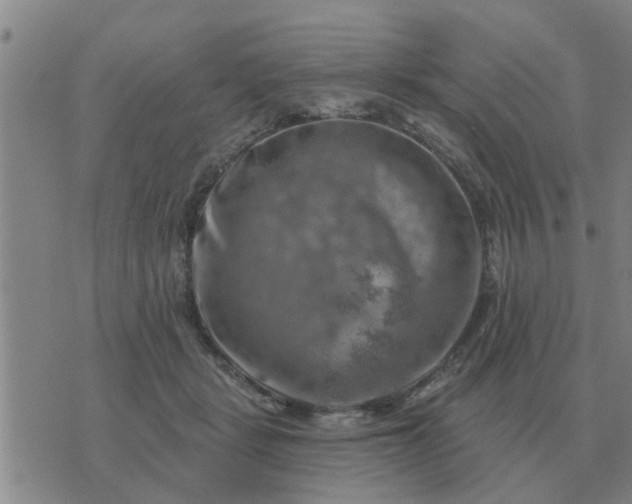 X0000074340461200609082101