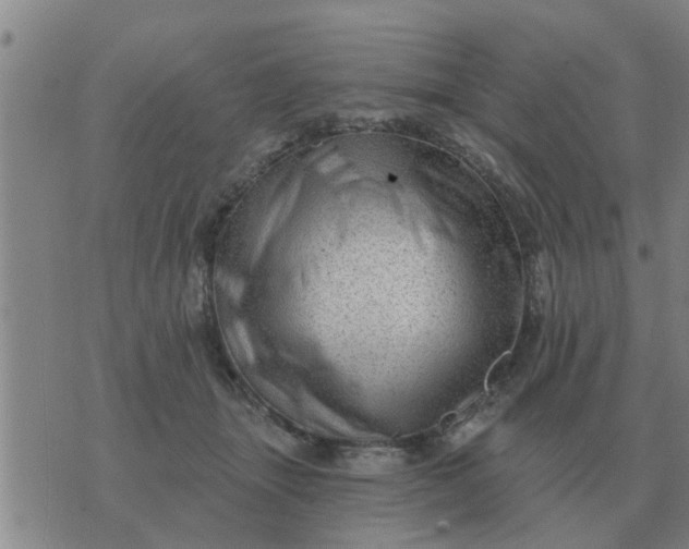 X0000074340463200609082101