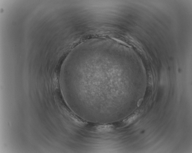 X0000074340465200609082101