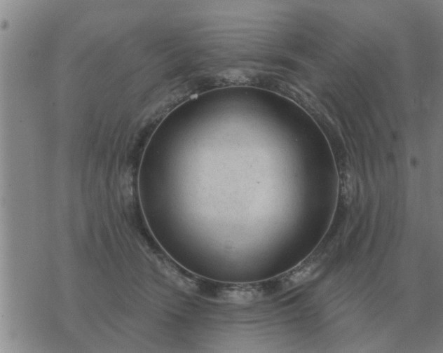 X0000074340466200609082101