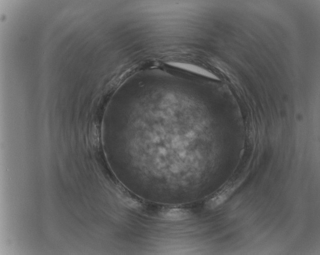 X0000074340467200609082101