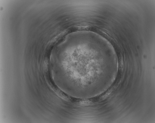 X0000074340468200609082102