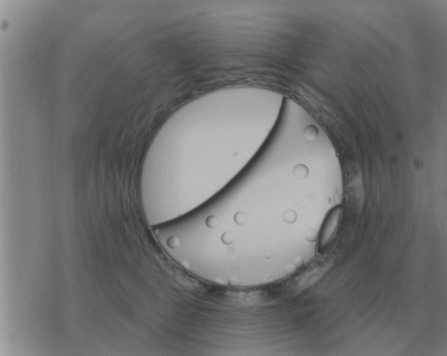 X0000074340469200609082102