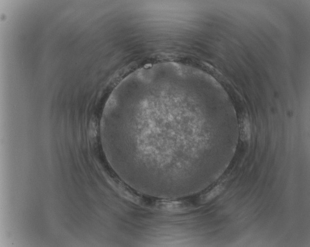 X0000074340472200609082102