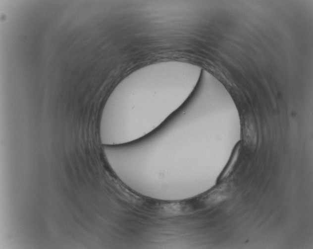 X0000074340473200609082102