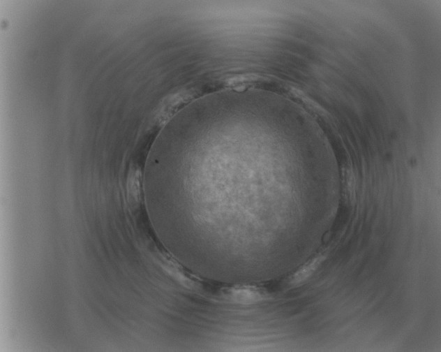 X0000074340475200609082102