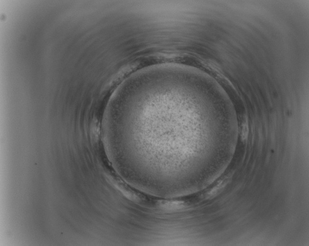 X0000074340476200609082102