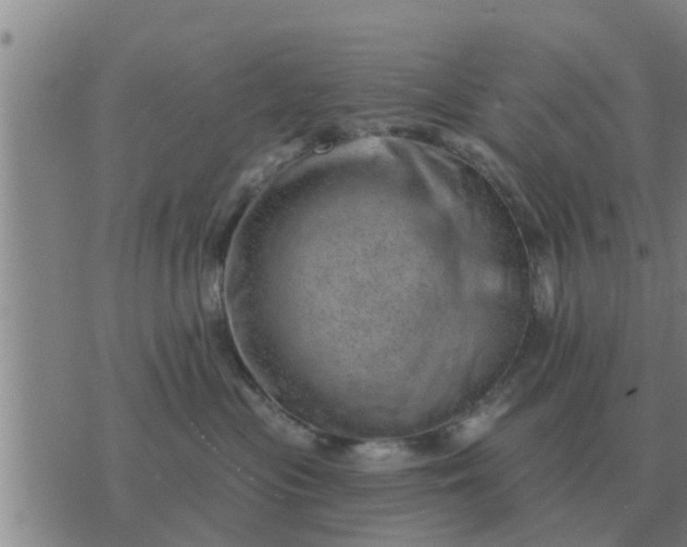 X0000074340477200609082102