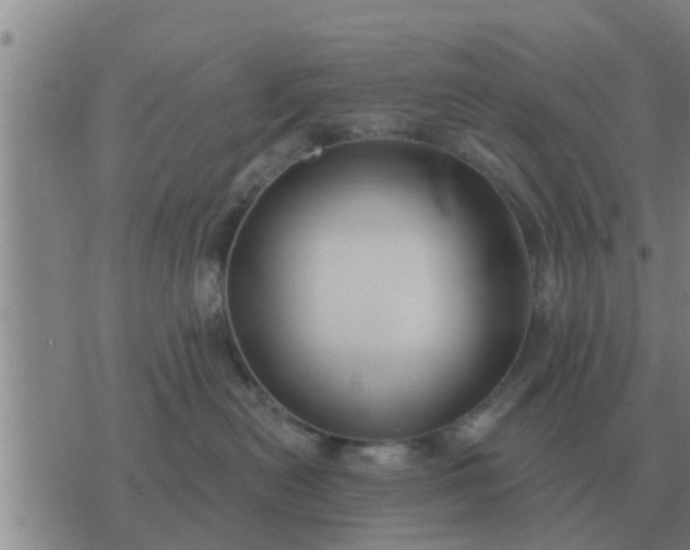 X0000074340478200609082102