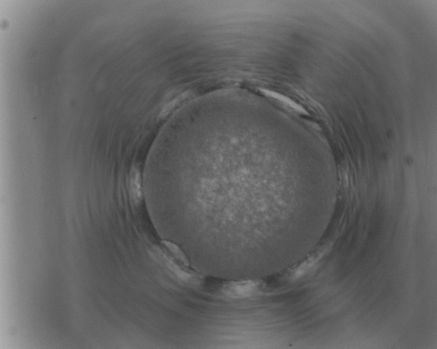 X0000074340479200609082102