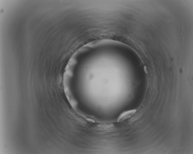 X0000074340480200609082102