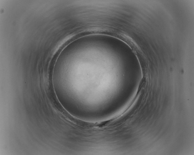 X0000074340484200609082101