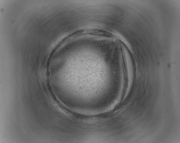 X0000074340485200609082101