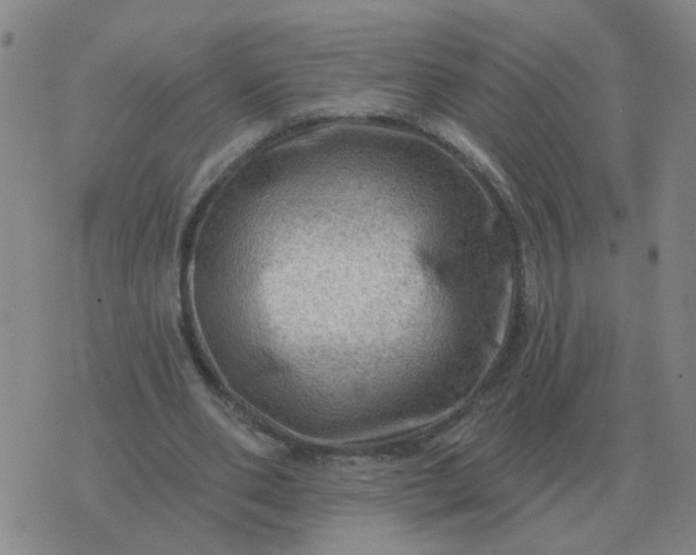 X0000074340486200609082101