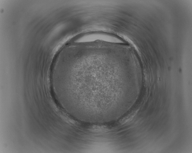 X0000074340487200609082101