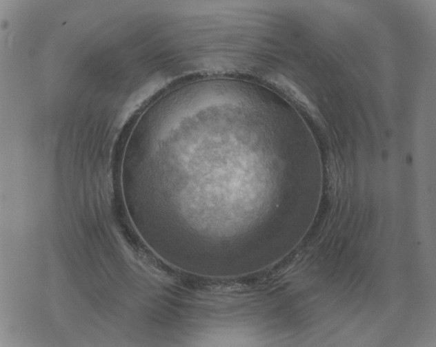 X0000074340488200609082101