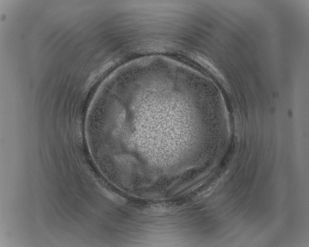 X0000074340489200609082101