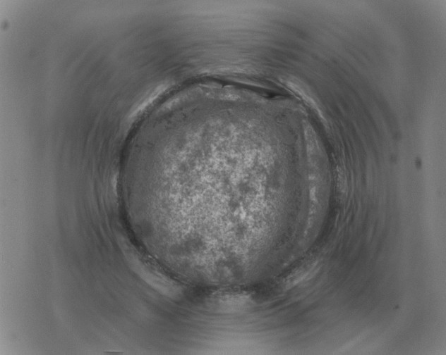 X0000074340491200609082101