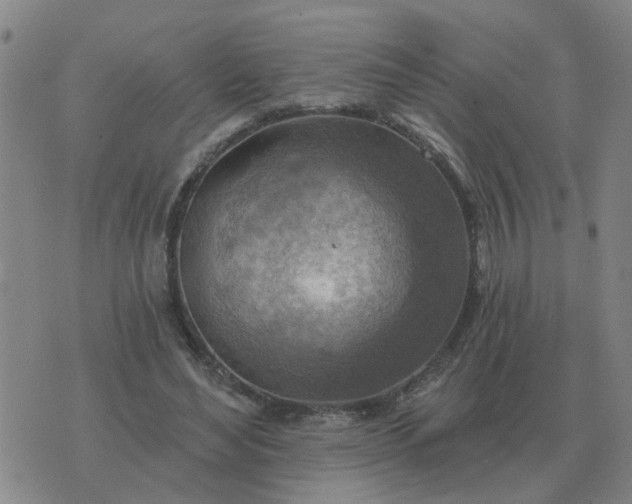 X0000074340492200609082101