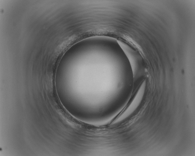 X0000074340493200609082101