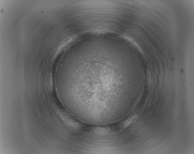 X0000074340494200609082101