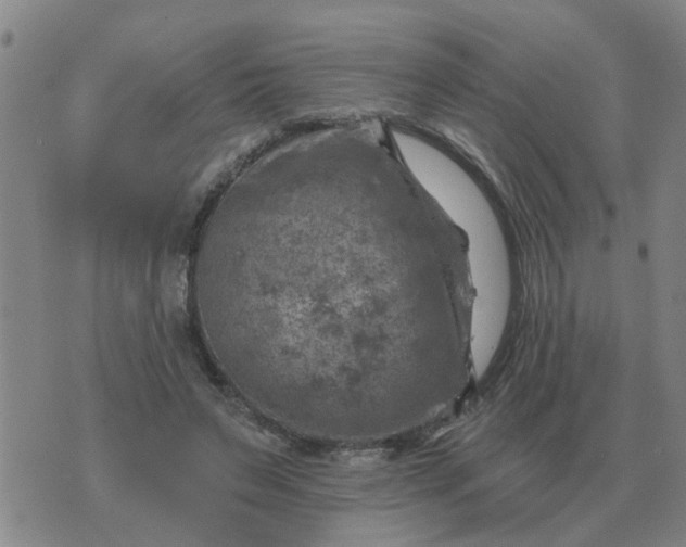 X0000074340495200609082101