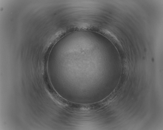 X0000074340496200609082101