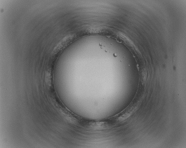 X0000074340497200609082101