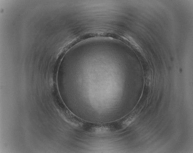 X0000074340500200609082101