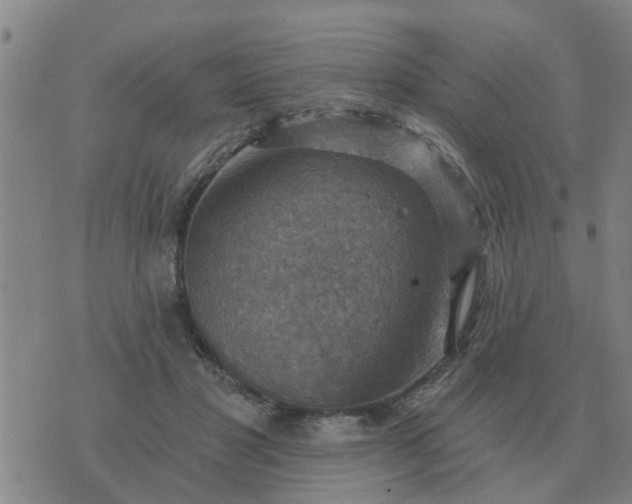 X0000074340501200609082101