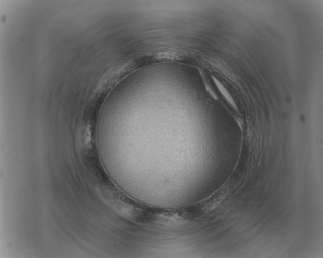 X0000074340502200609082101