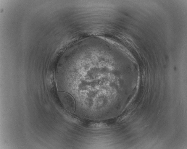 X0000074340503200609082101